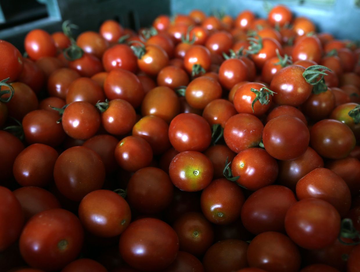 Помидоры на продуктовом рынке