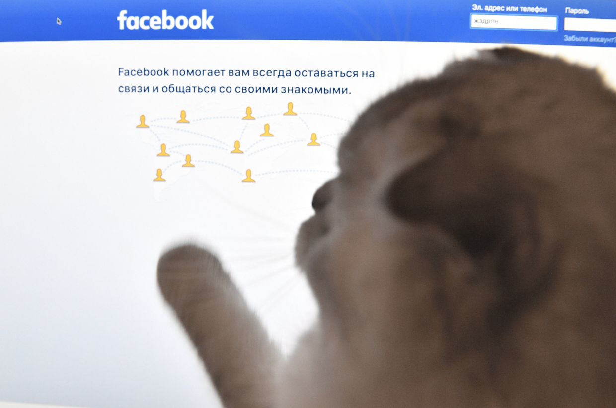 Страница социальной сети «Фейсбук» на экране компьютера