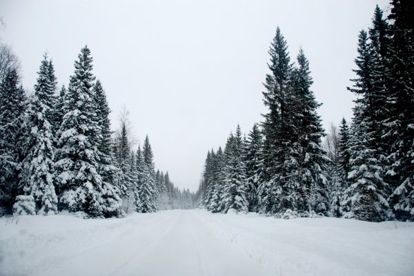 Зима на севере Швеции