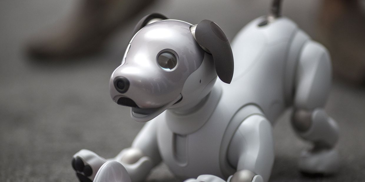 Робот Aibo новейшего поколения в Лас-Вегасе Робот Aibo новейшего поколения в Лас-Вегасе