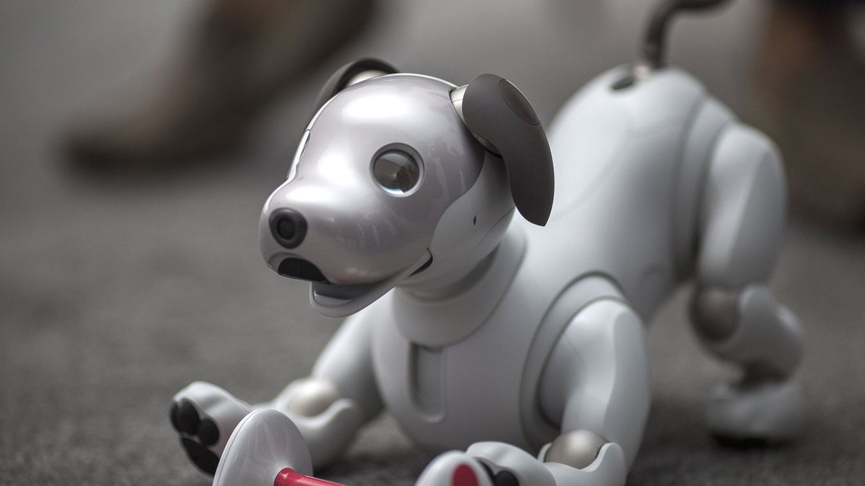 Робот Aibo новейшего поколения в Лас-Вегасе