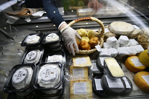 Фестиваль сыра на Манежной площади