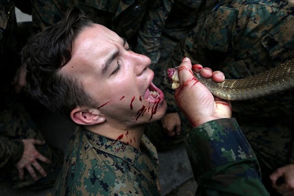Военные учения «Золотая кобра 2018»