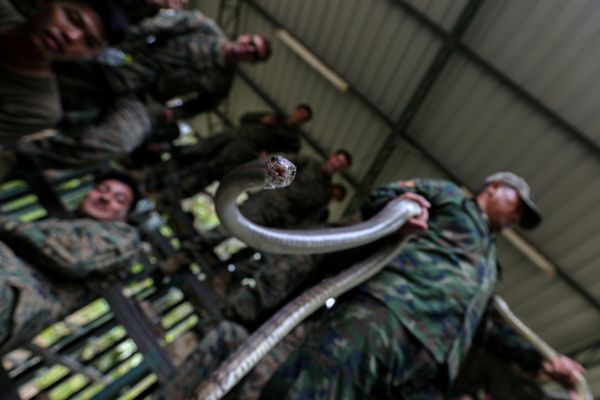 Военные учения «Золотая кобра 2018»