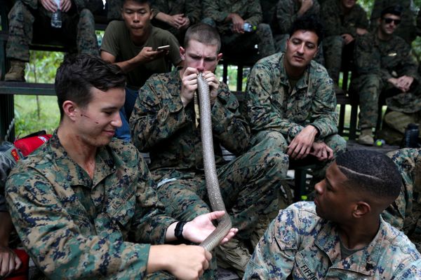 Военные учения «Золотая кобра 2018»