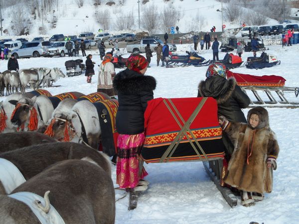 Мальчик в малице на ярмарке в День оленевода в Салехарде Мальчик в малице на ярмарке в День оленевода в Салехарде