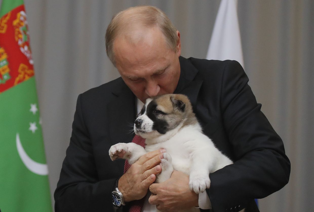 Президент России Владимир Путин целует туркменскую овчарку Алабая