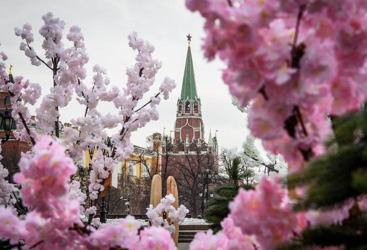 Вид на московский Кремль