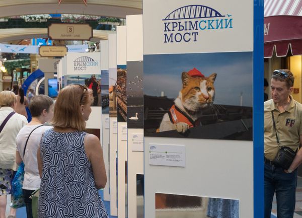 Выставка, посвященная строящемуся мосту через Керченский пролив, открылась в ГУМе