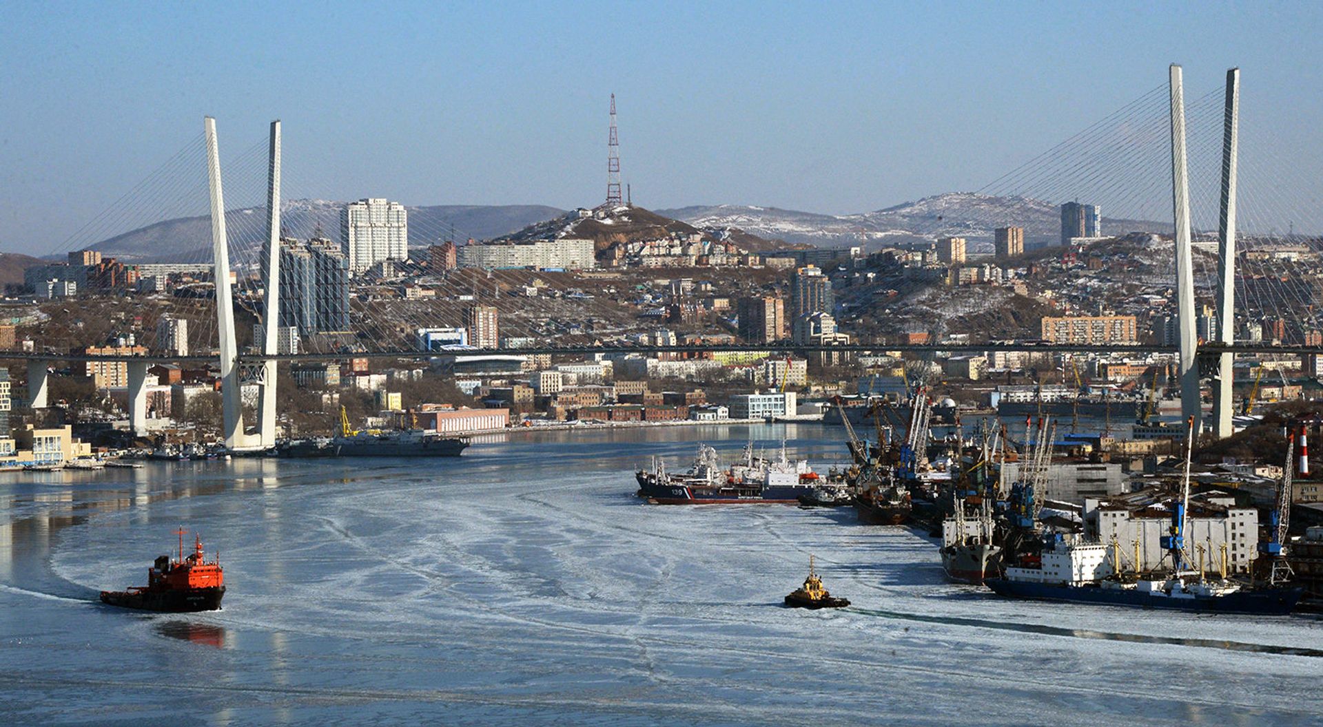 Минприроды разработает программу очистки бухты Золотой рог Минприроды разработает программу очистки бухты Золотой рог - ИноСМИ, 1920, 12.09.2021