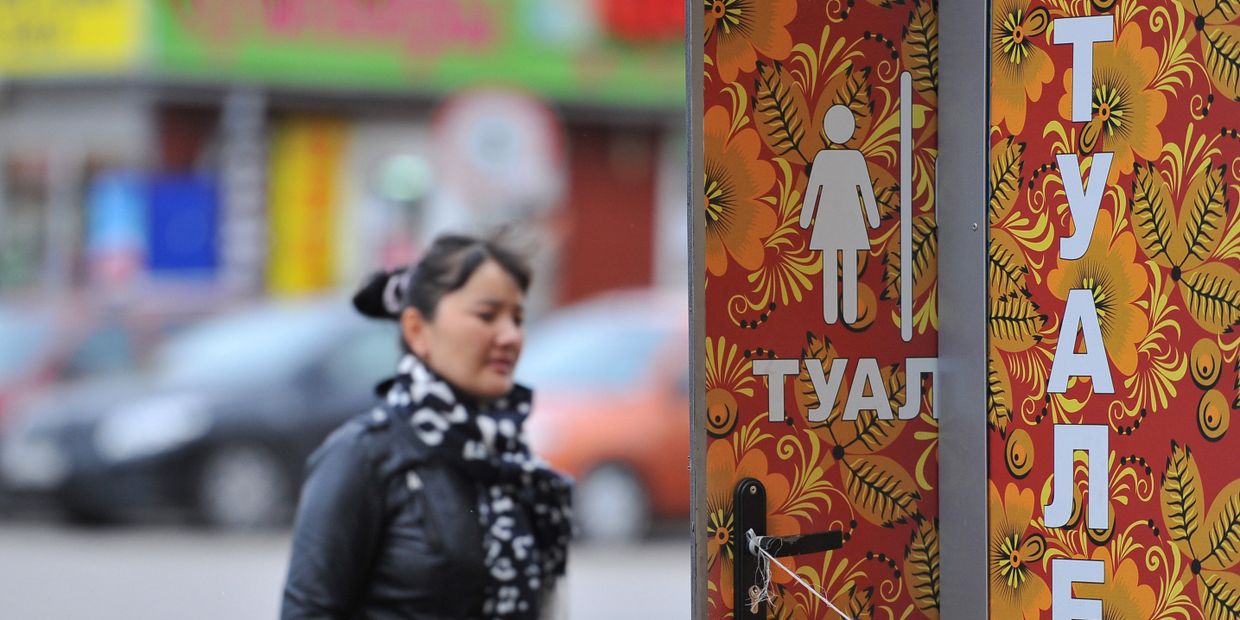 В Москве появились общественные туалеты, расписанные под хохлому