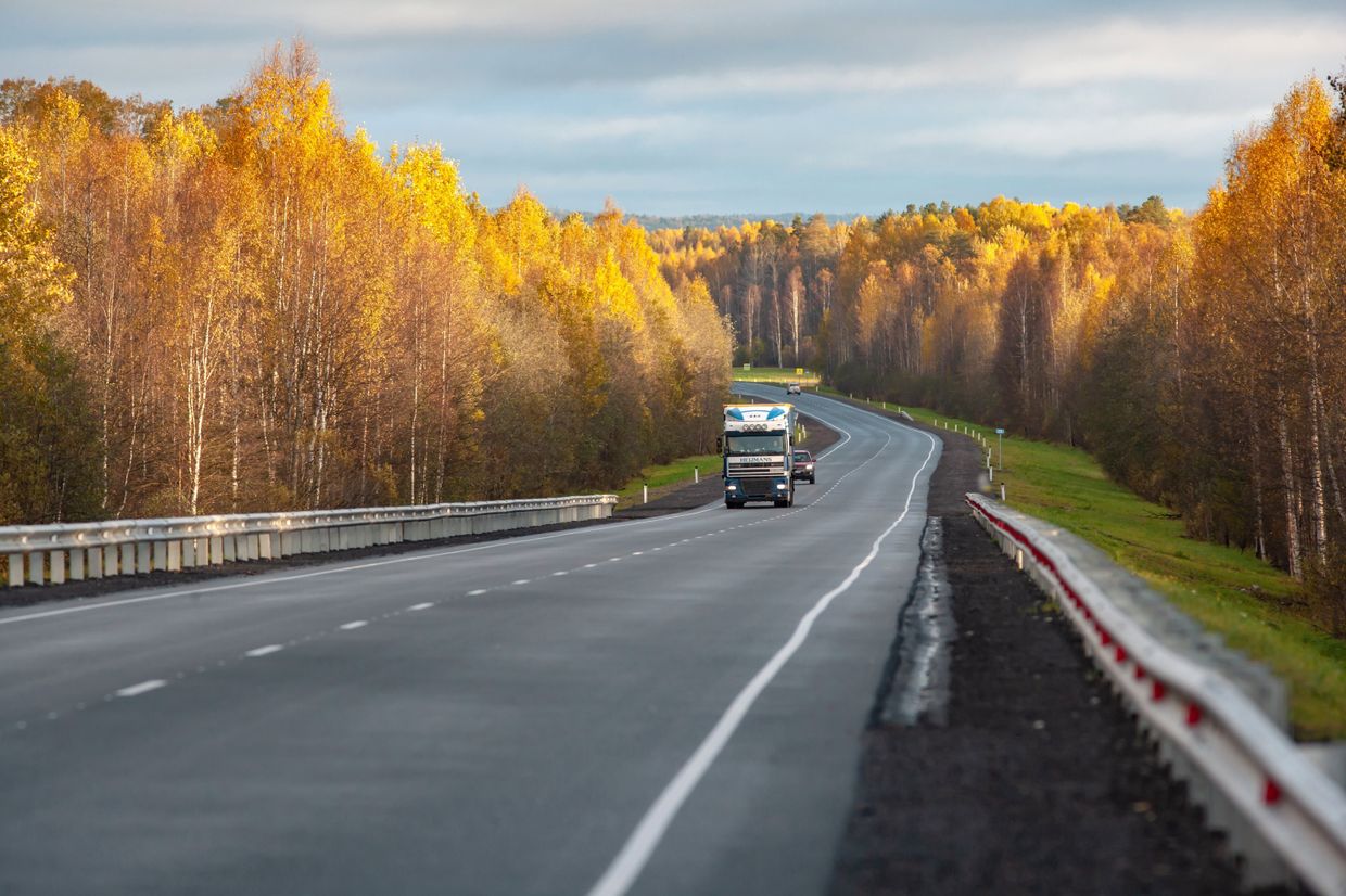Осенний лес вдоль автодороги Кола в Кондопожском районе Республики Карелия