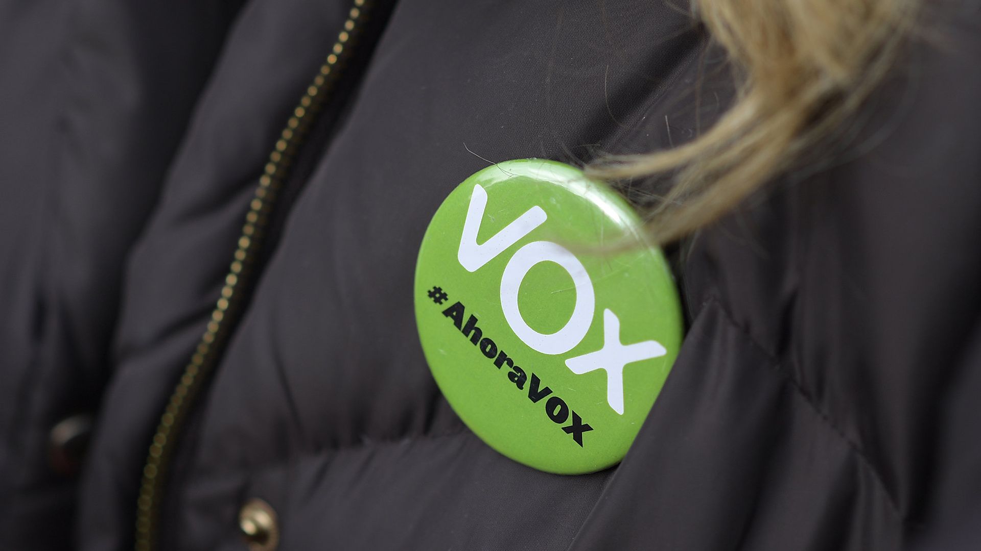 Значек сторонника партии Vox во время демонстрации в Мадриде - ИноСМИ, 1920, 06.12.2018