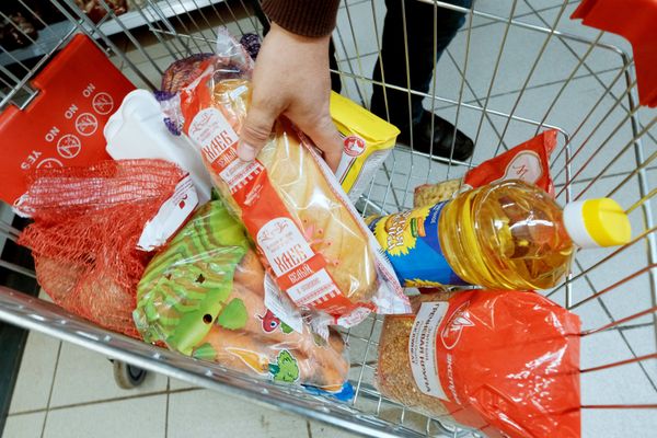 Тележка с продуктами в магазине Магнит Тележка с продуктами в магазине Магнит