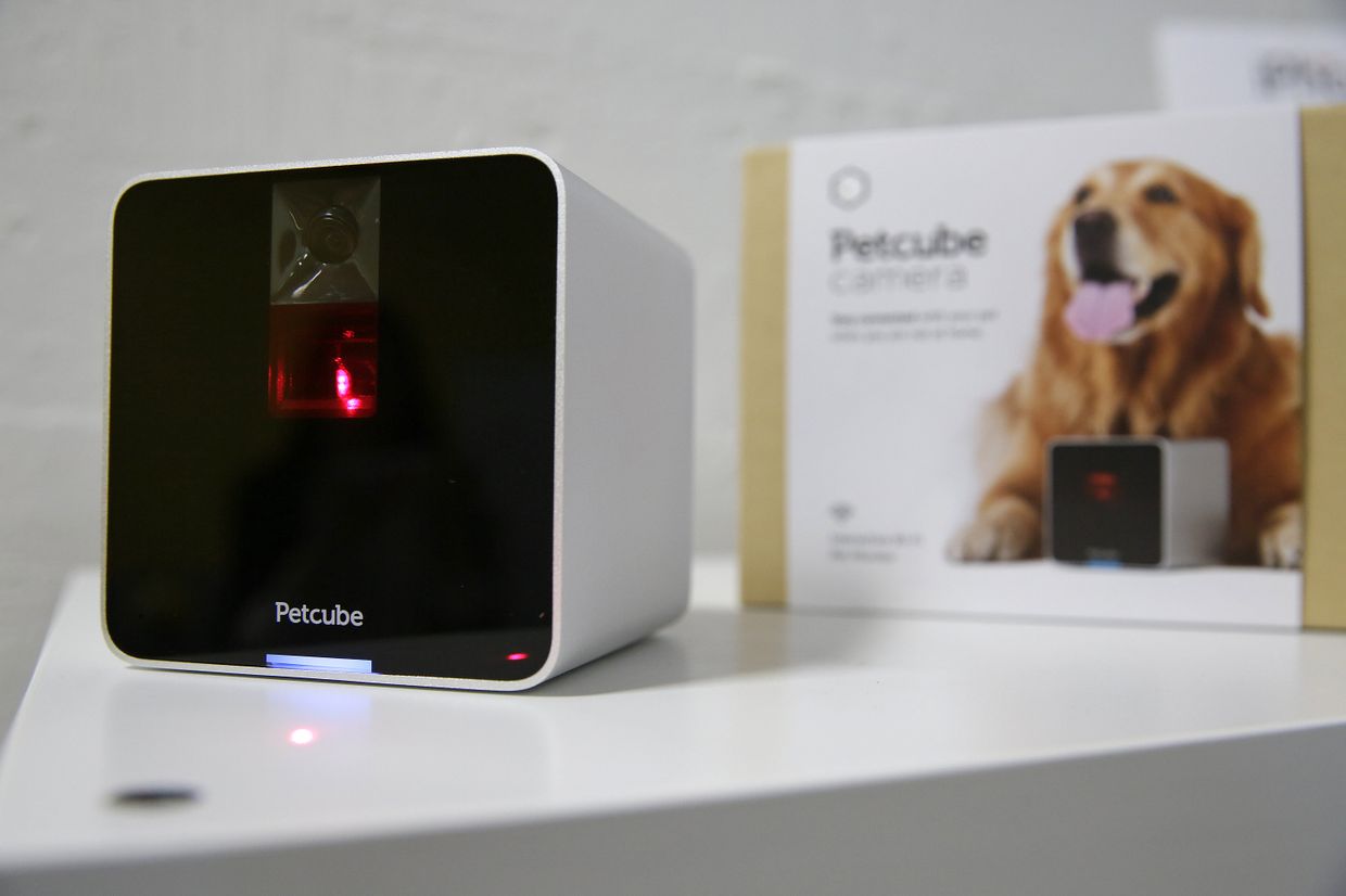 Камера Petcube