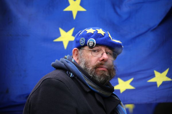 Противник Брексита во время акции протеста возле парламента в Лондоне