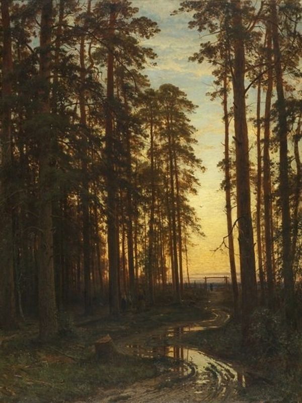 Вечер в сосновом лесу (Сосновый лес)