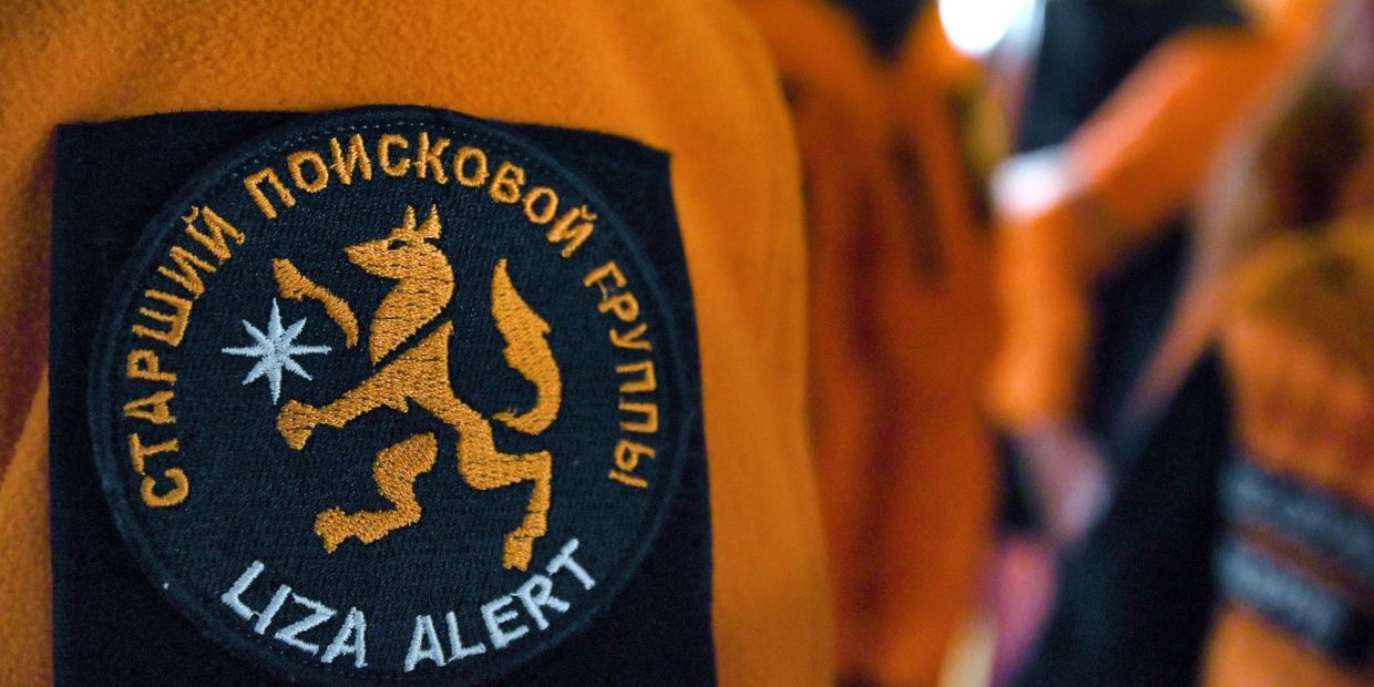 Шеврон поисково-спасательного отряда Лиза Алерт