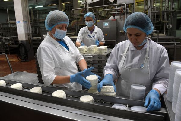 Линия упаковки творога на заводе «Агросила-Молоко», который выпускает продукцию под маркой «Просто молоко»