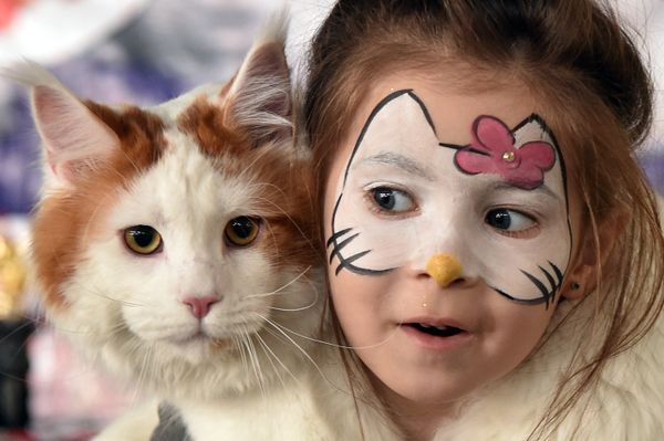 Девочка с кошкой