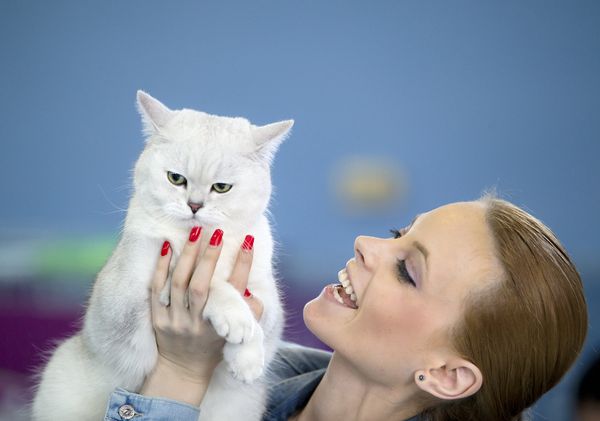 Кошка и хозяйка