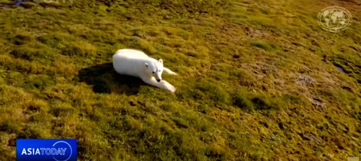 Russia discovers 5 new islands revealed by melting glaciers