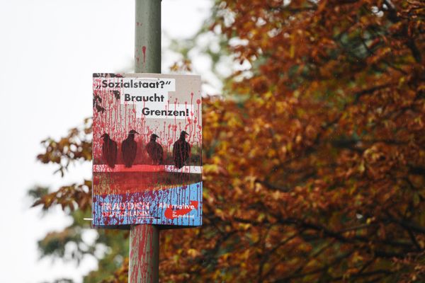 Агитационный плакат немецкой партии Альтернатива для Германии (AfD) на одной из улиц в Берлине