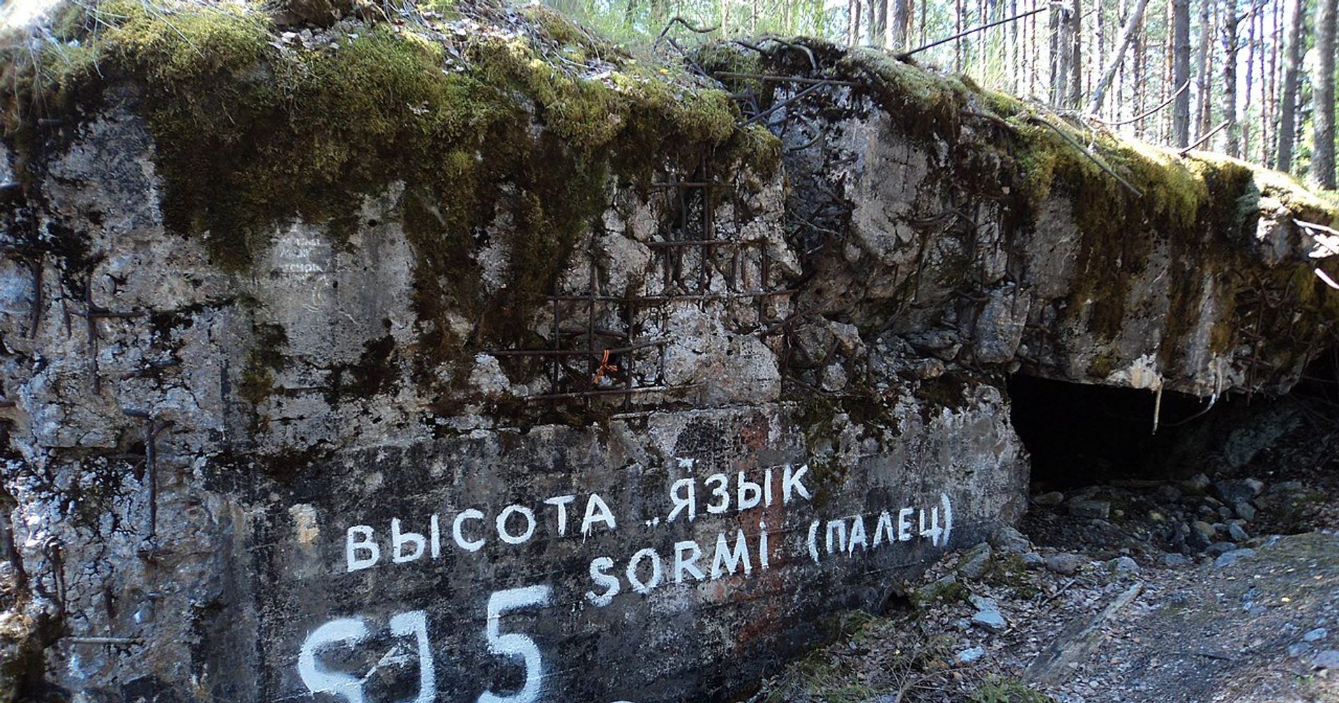 Комплекс оборонительных сооружений линии Маннергейма - ИноСМИ, 1920, 09.02.2021