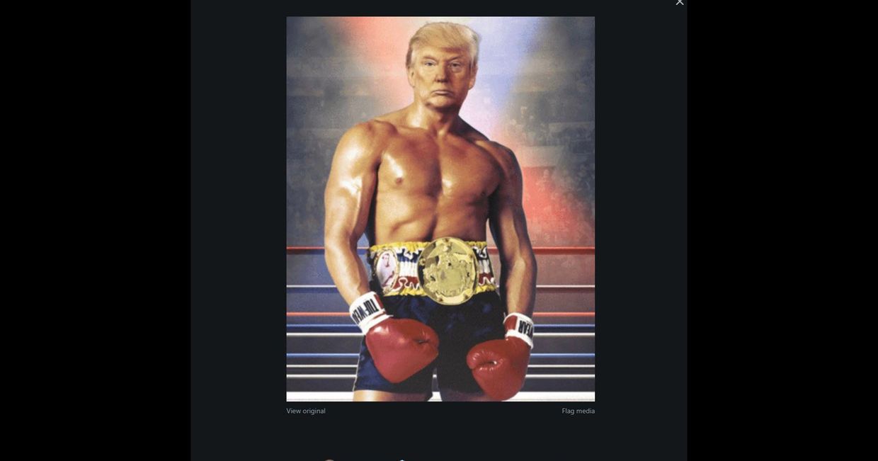 Скриншот из Твиттера Дональда Трампа