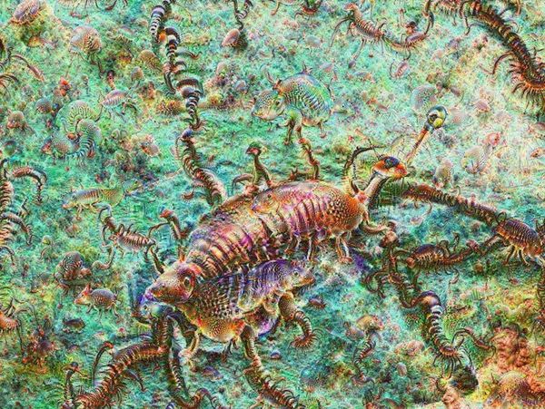 Изображение, созданное при помощи искусственного интеллекта Google DeepDream