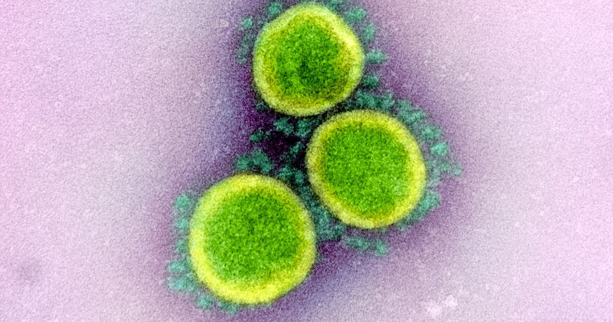 SARS-CoV-2