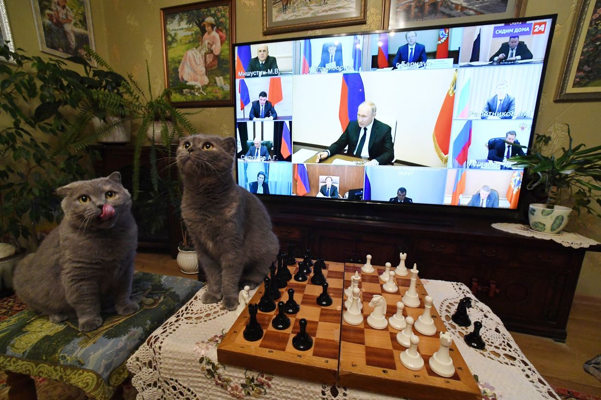 Трансляция совещания президента РФ В. Путина с руководителями субъектов РФ Трансляция совещания президента РФ В. Путина с руководителями субъектов РФ