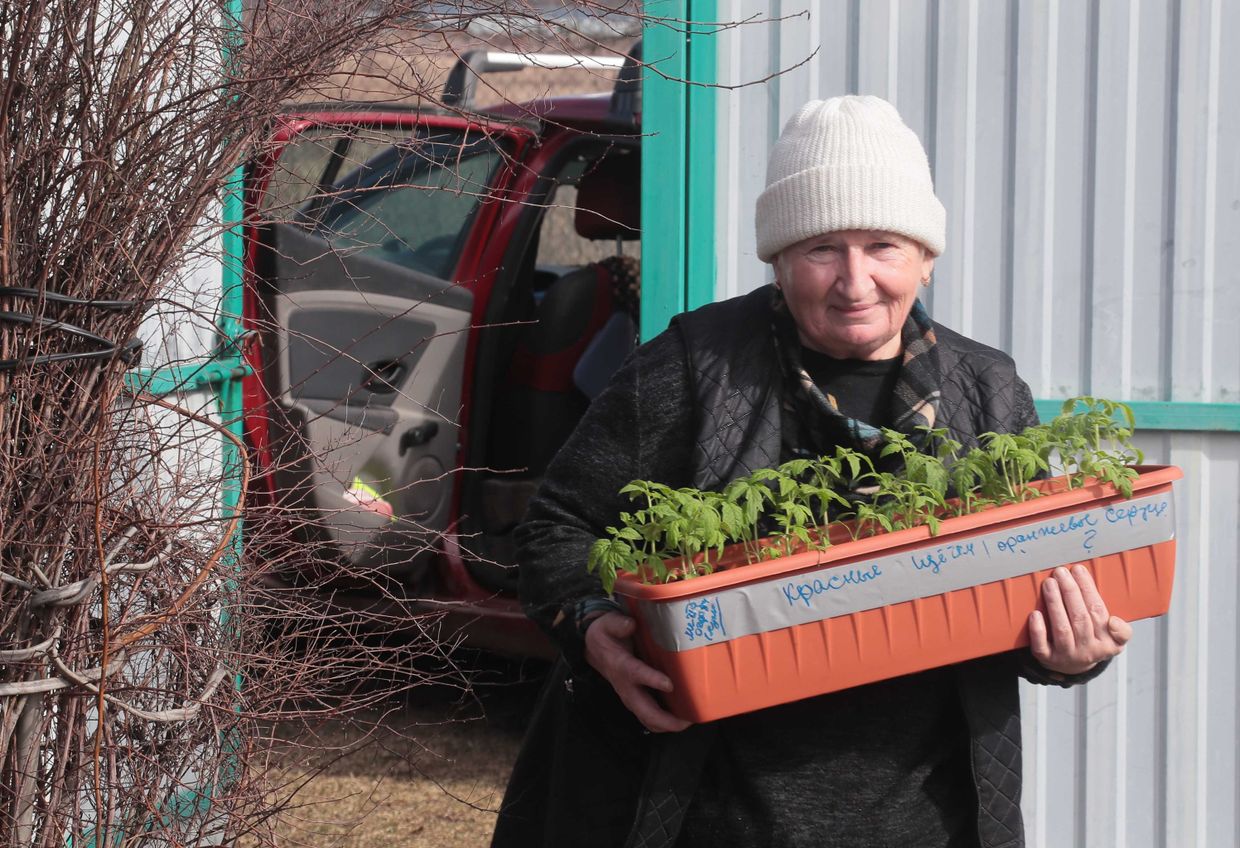 Городские жители на своих дачных участках Городские жители на своих дачных участках