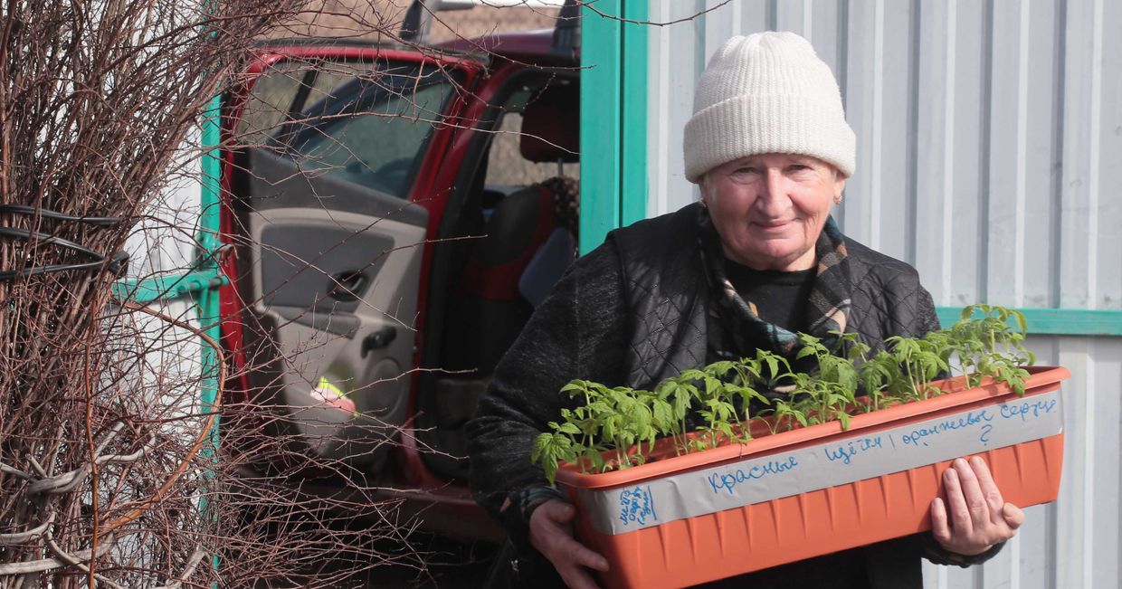 Городские жители на своих дачных участках