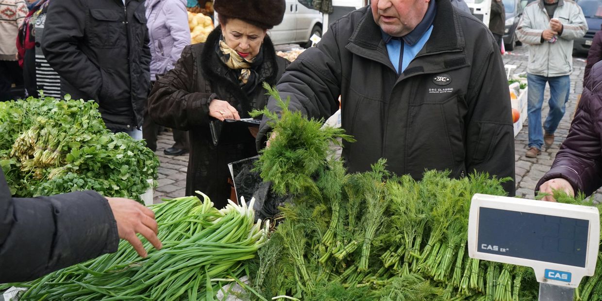 Покупатель приобретает укроп на ярмарке местных сельхозпроизводителей в Калининграде