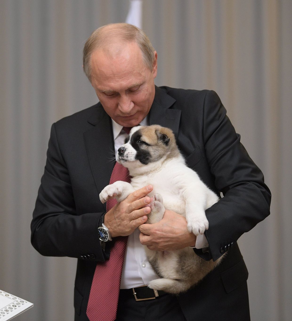 Президент РФ В. Путин встретился с президентом Туркмении Г. Бердымухамедовым