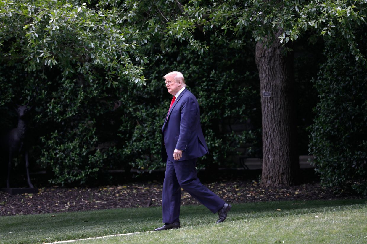 Дональд Трамп на южной лужайке Белого дома