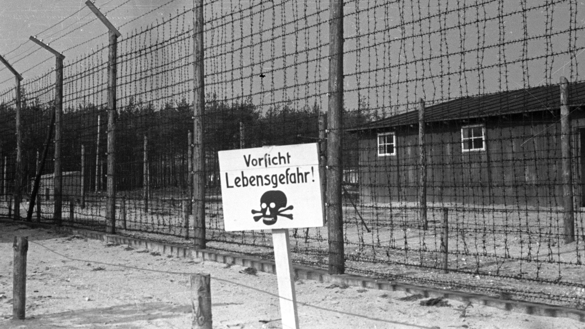 Великая Отечественная война 1941-1945 гг - ИноСМИ, 1920, 19.02.2023