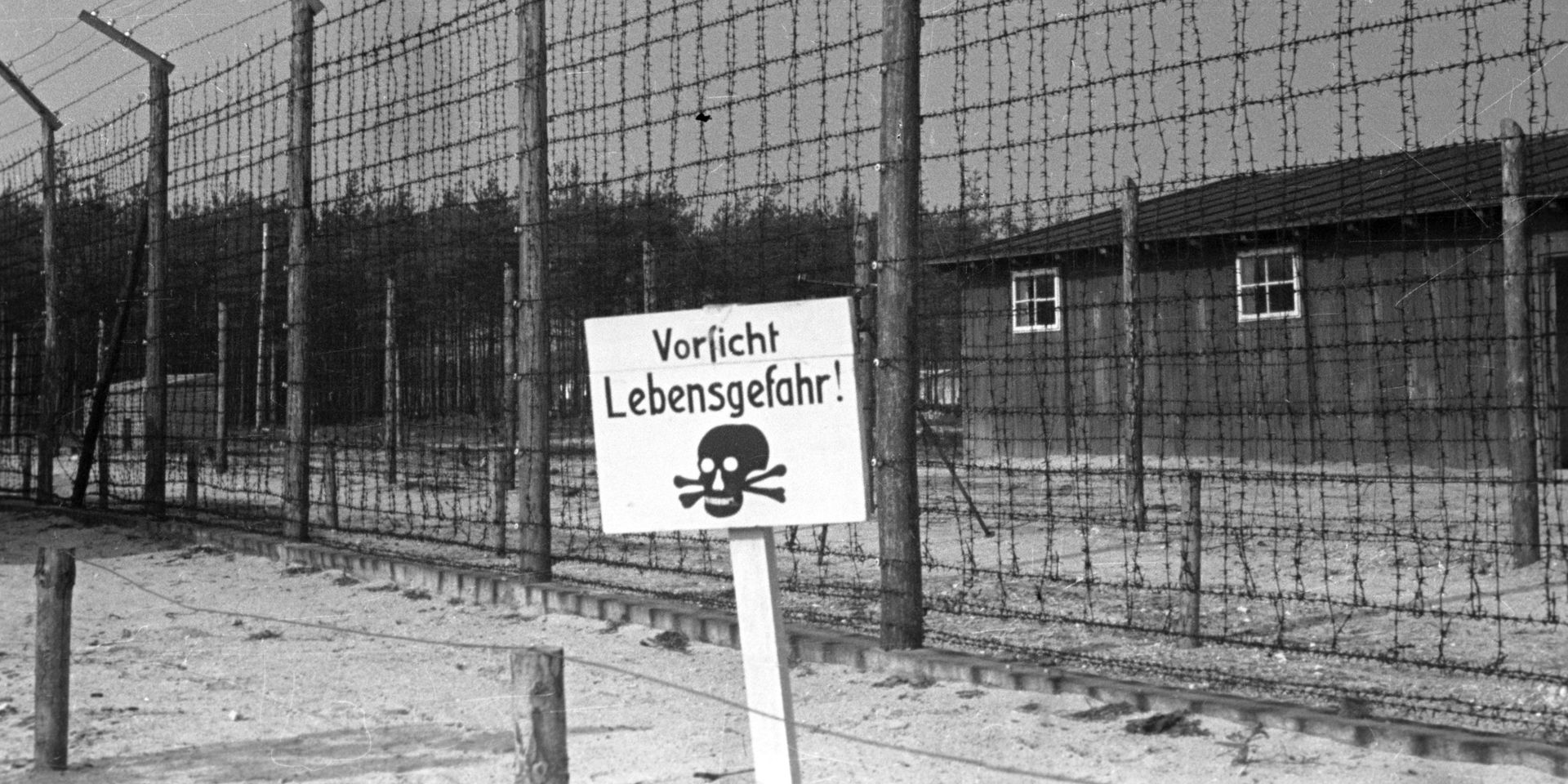 Великая Отечественная война 1941-1945 гг - ИноСМИ, 1920, 03.09.2025