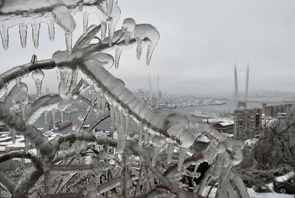 Последствия ледяного дождя во Владивостоке