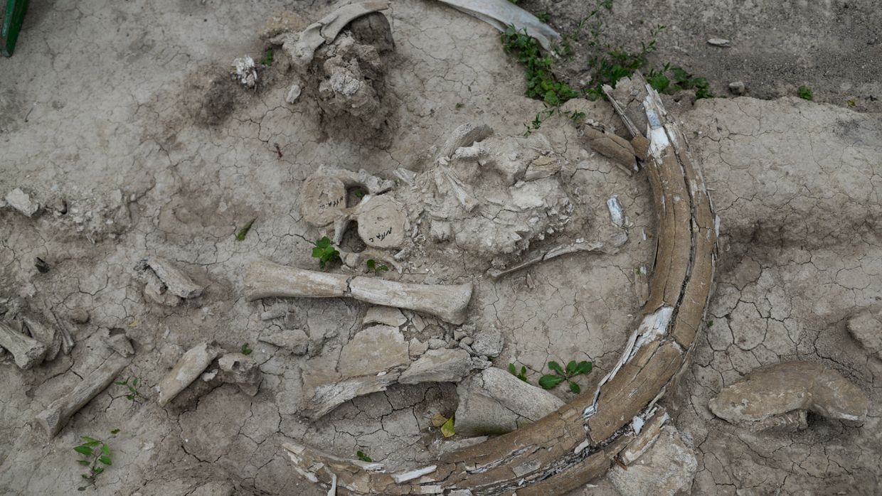 Археологический раскопки в Воронежской области