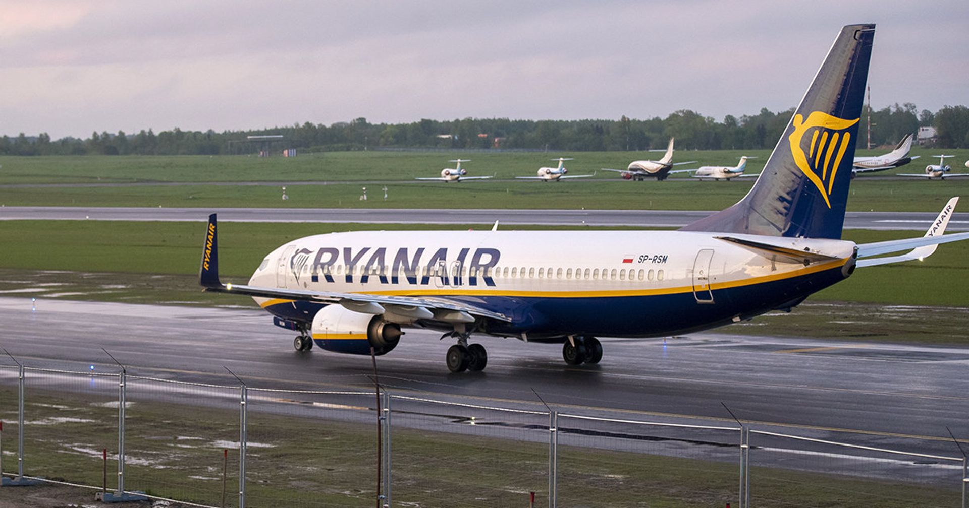 Самолет Ryanair на борту которого находился оппозиционер Роман Пратасевич - ИноСМИ, 1920, 24.05.2021
