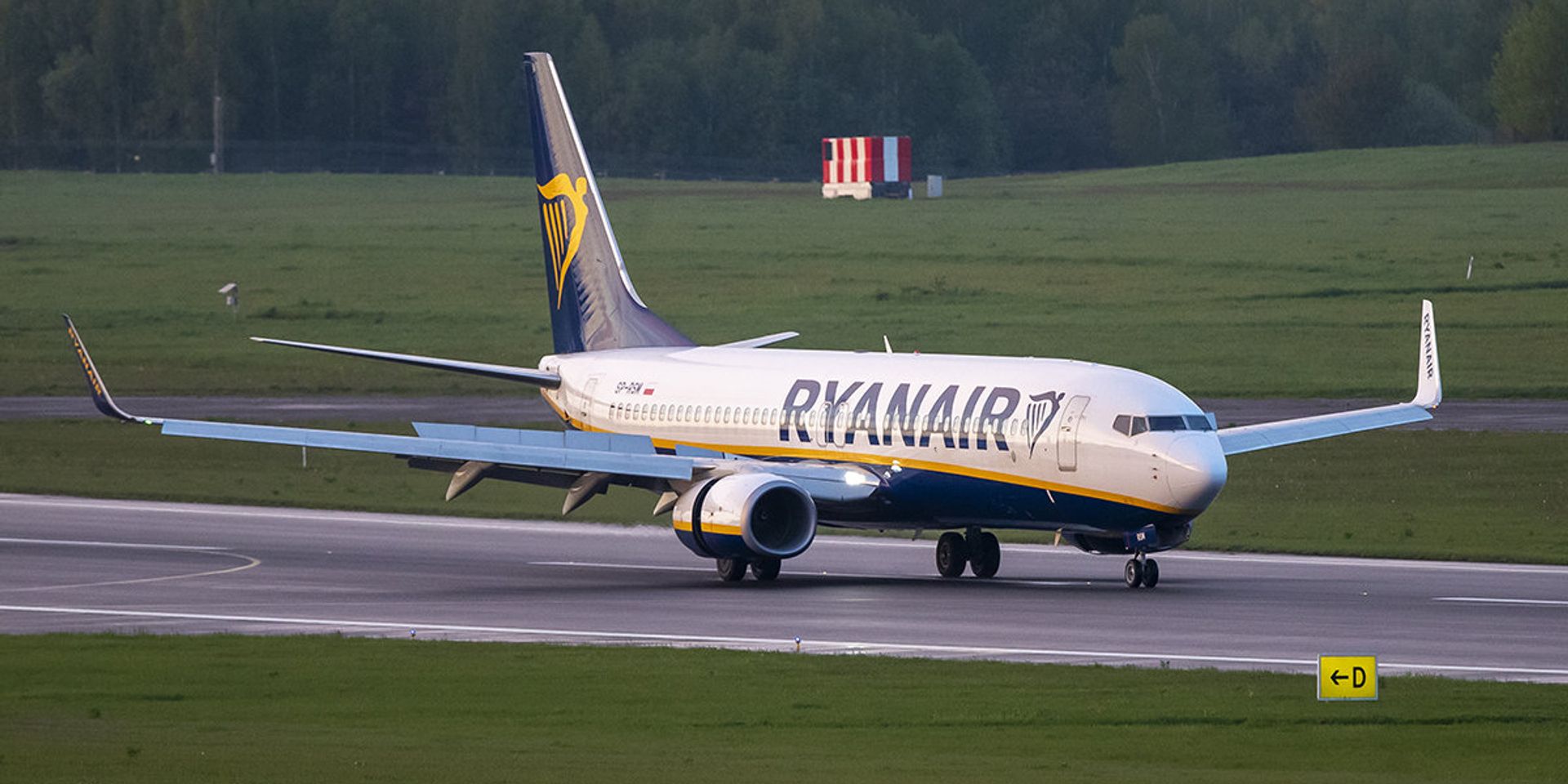 Самолет Ryanair на борту которого находился оппозиционер Роман Пратасевич - ИноСМИ, 1920, 24.05.2021