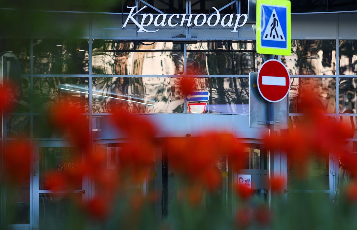 Весеннее цветение растений в Краснодаре