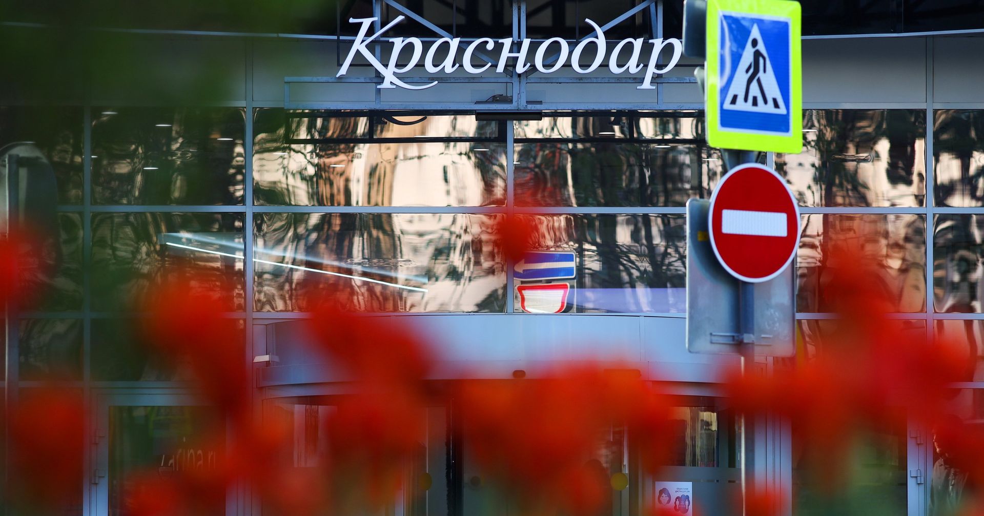 Весеннее цветение растений в Краснодаре Весеннее цветение растений в Краснодаре - ИноСМИ, 1920, 07.07.2021