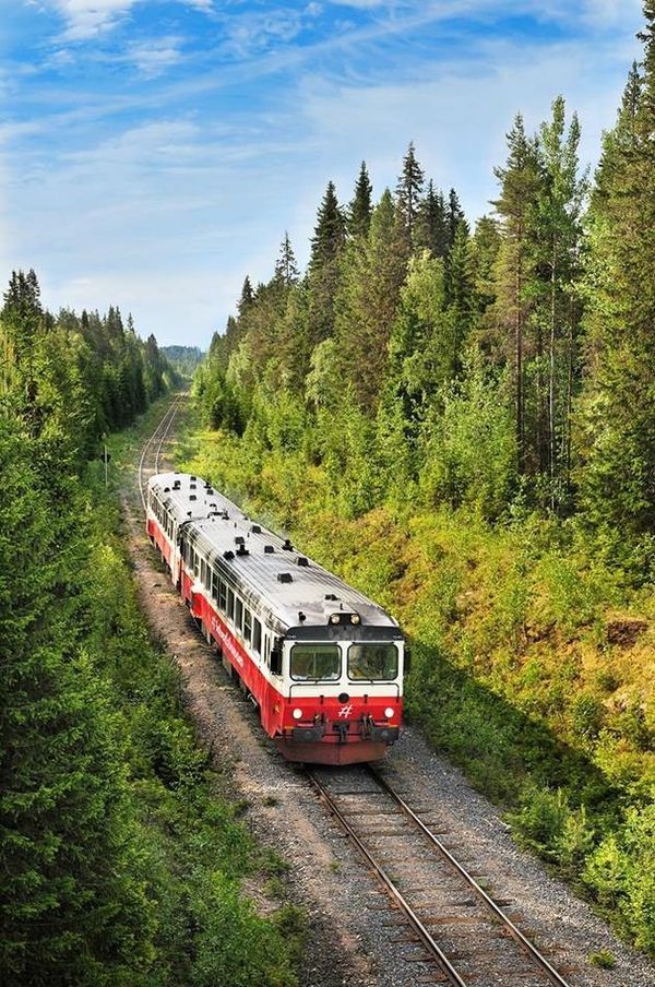 Внутренняя железная дорога