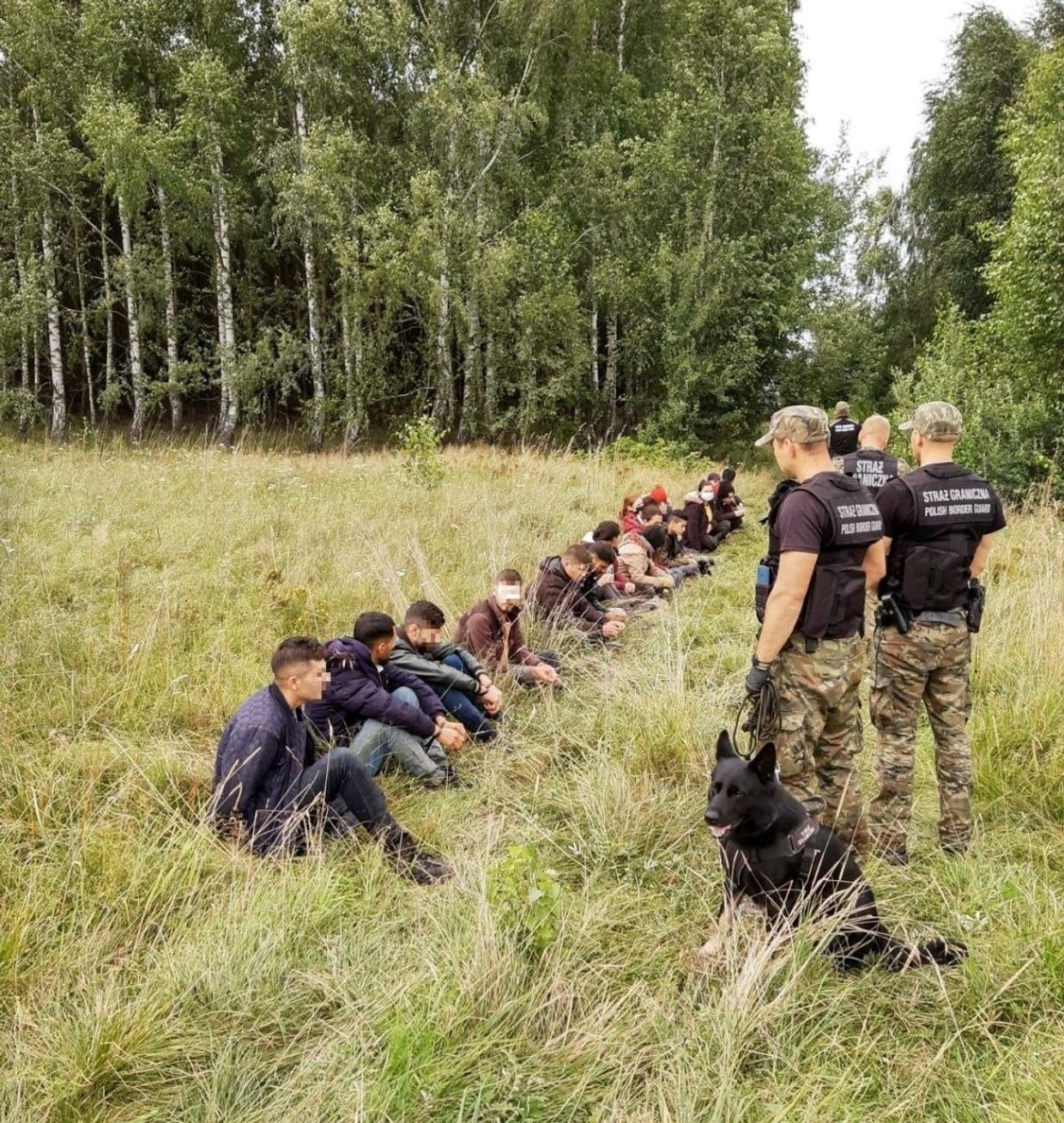 Польские пограничники задержали людей, пытавшихся незаконно пересечь границу
