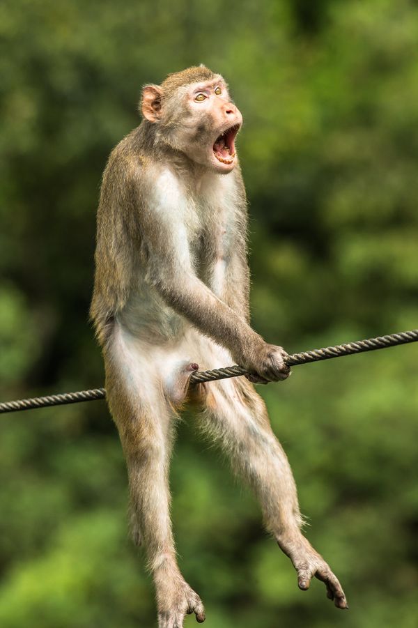 Ой!