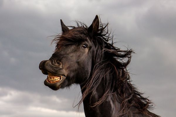Улыыыбочку! (Cheeeese!)