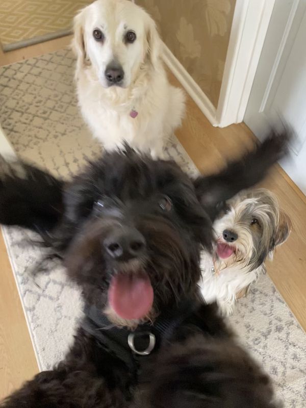Фотобомба (Photo bomb)